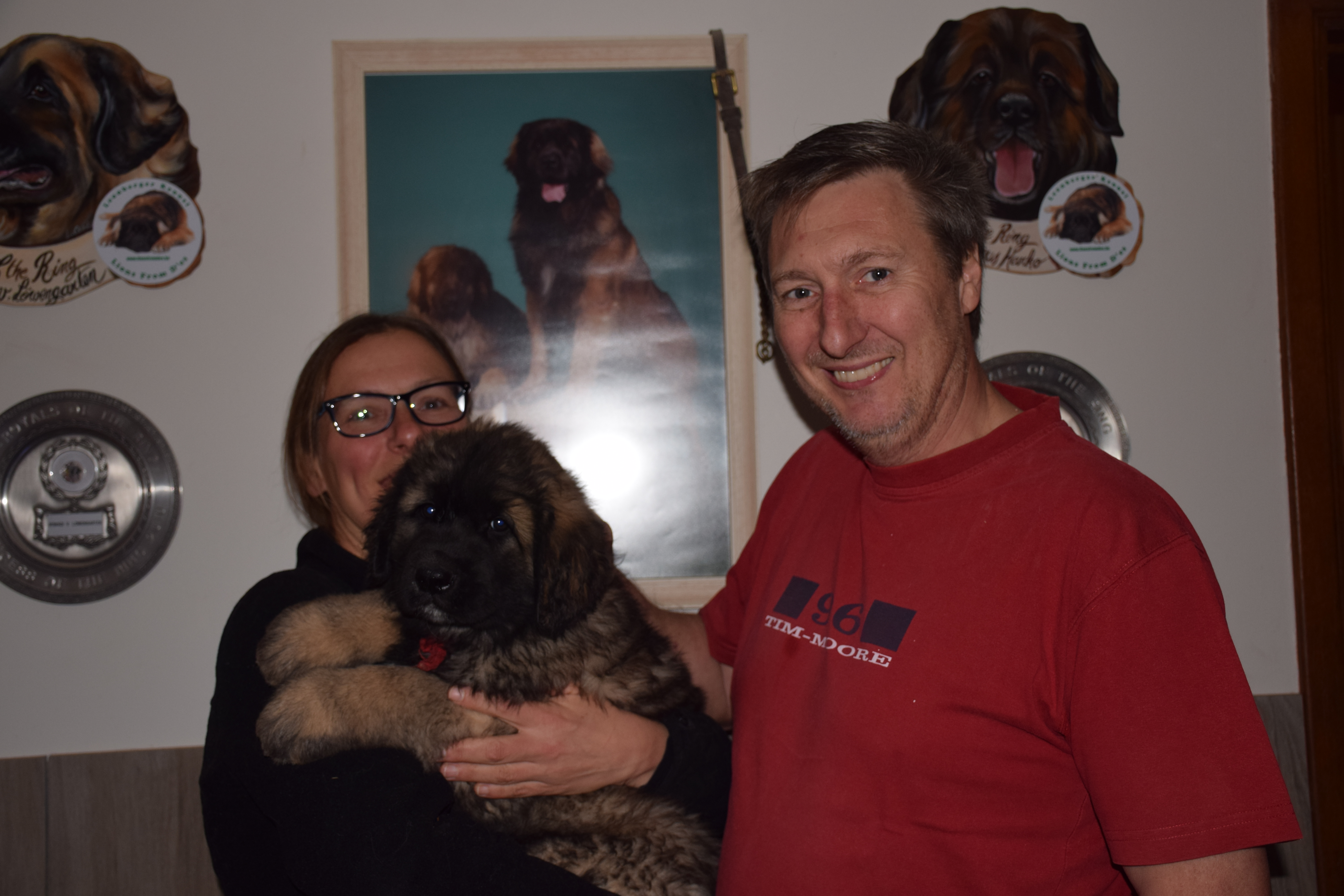 Rood lintje Sparta(cus) Lions from D' Es